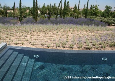 landscape,granite,swimmingpool,granito